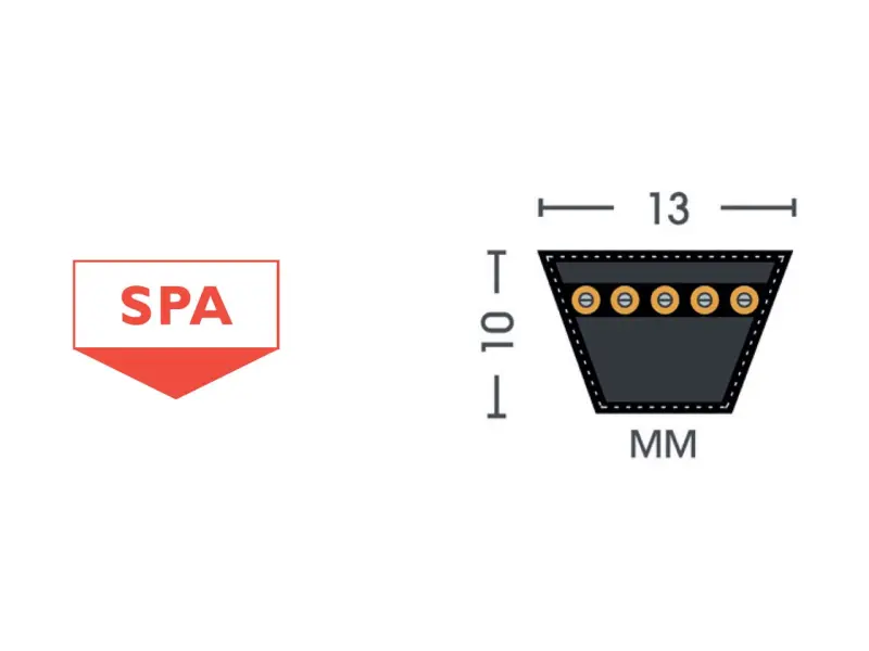 SPA Narrow wrapped V-belts~30.jpg